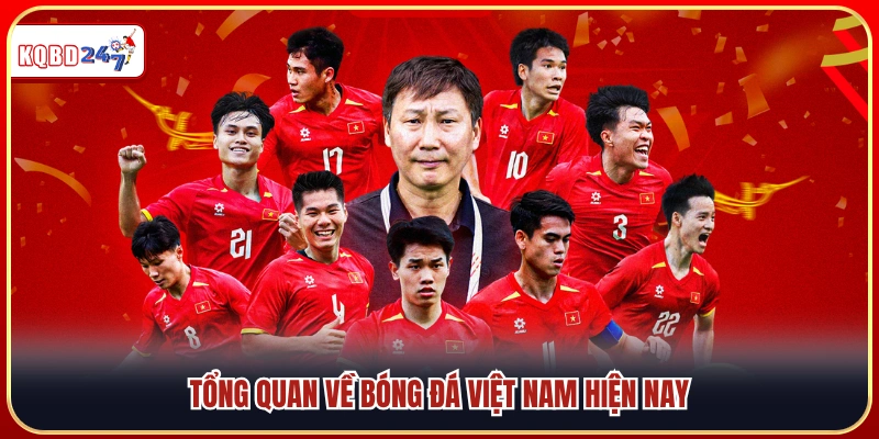 Tổng quan sự phát triển của bóng đá Việt Nam