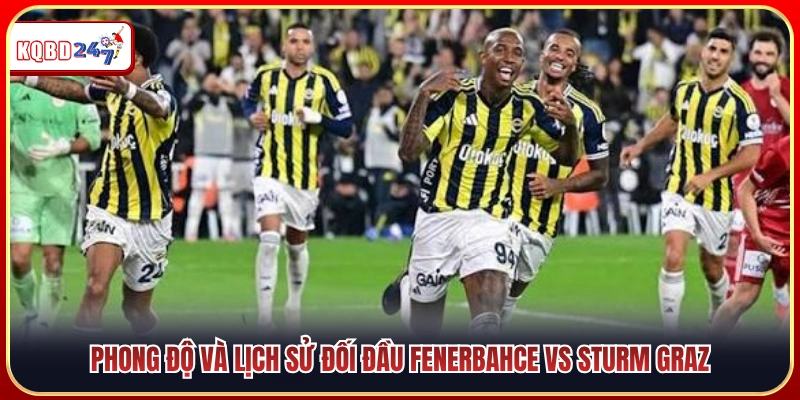 Phong độ thi đấu và dữ liệu đối đầu quá khứ Fenerbahce vs Sturm Graz