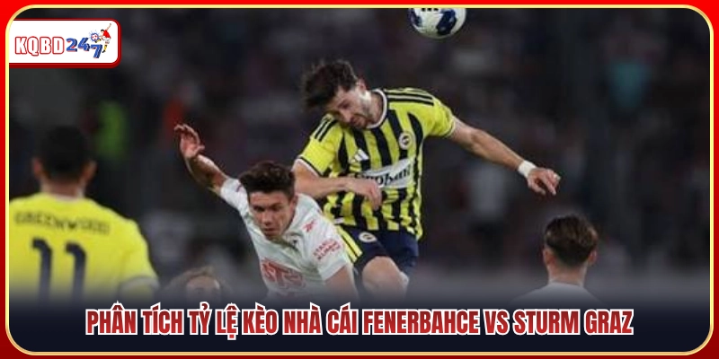 Soi tỷ lệ kèo nhà cái đưa ra cho trận Fenerbahce vs Sturm Graz 